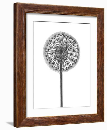 Simple Floral - Thrive-Lucy Francis-Framed Giclee Print