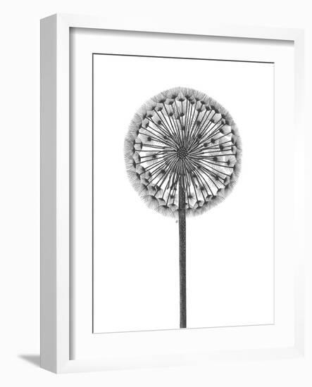 Simple Floral - Thrive-Lucy Francis-Framed Giclee Print