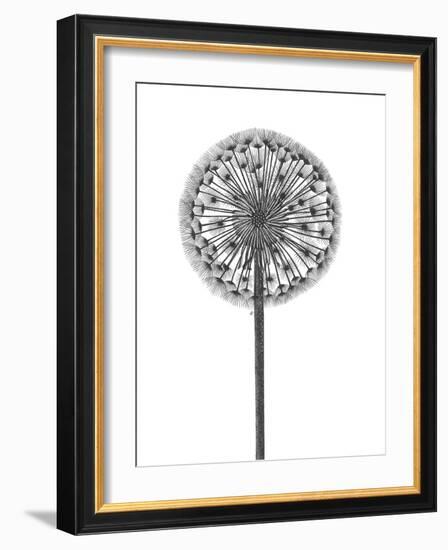 Simple Floral - Thrive-Lucy Francis-Framed Giclee Print