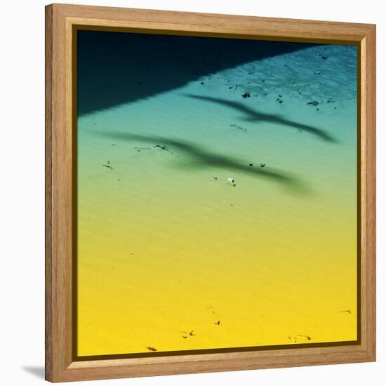 Simple Future-Viviane Fedieu Daniel-Framed Stretched Canvas