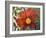 Simple Garden I-Walt Johnson-Framed Art Print