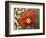 Simple Garden I-Walt Johnson-Framed Premium Giclee Print