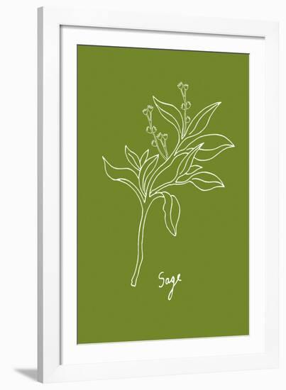 Simple Herb - Sage-Clara Wells-Framed Giclee Print