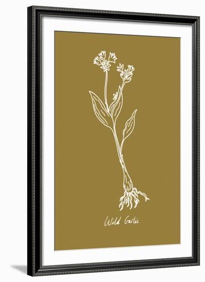 Simple Herb - Wild Garlic-Clara Wells-Framed Giclee Print