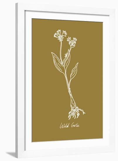 Simple Herb - Wild Garlic-Clara Wells-Framed Giclee Print