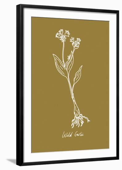 Simple Herb - Wild Garlic-Clara Wells-Framed Giclee Print