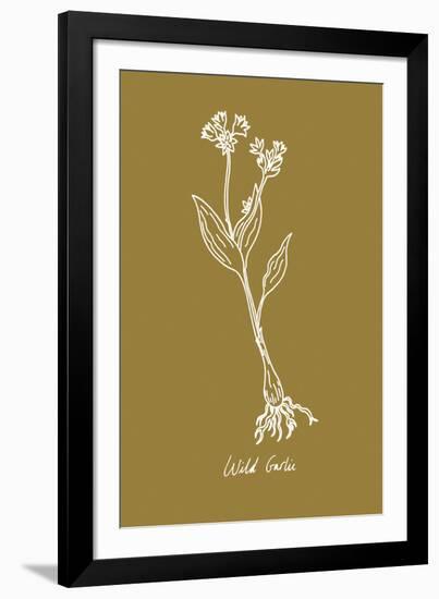 Simple Herb - Wild Garlic-Clara Wells-Framed Giclee Print