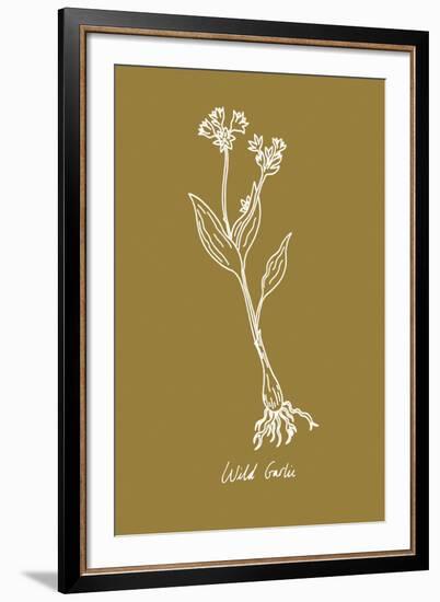 Simple Herb - Wild Garlic-Clara Wells-Framed Giclee Print