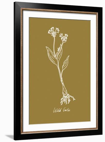 Simple Herb - Wild Garlic-Clara Wells-Framed Giclee Print