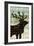 Simple Living Elk Script-Michael Mullan-Framed Art Print