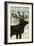 Simple Living Elk Script-Michael Mullan-Framed Art Print