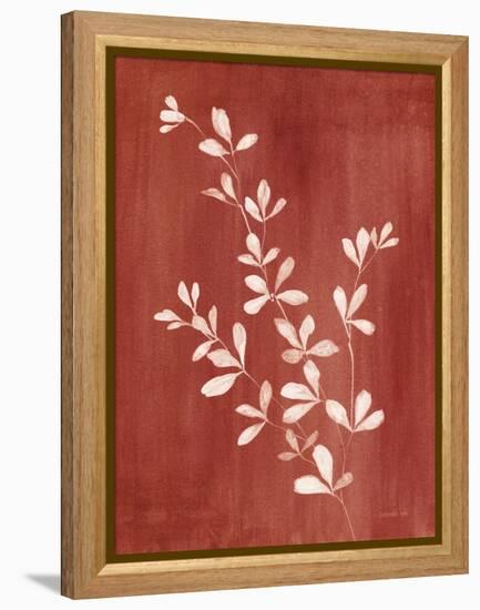 Simple Nature II Burgundy-Danhui Nai-Framed Stretched Canvas