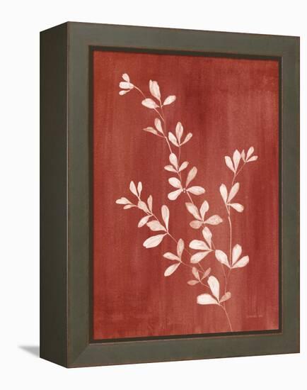 Simple Nature II Burgundy-Danhui Nai-Framed Stretched Canvas