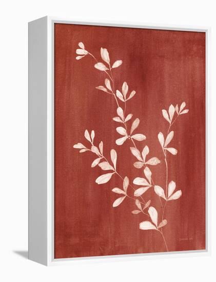 Simple Nature II Burgundy-Danhui Nai-Framed Stretched Canvas