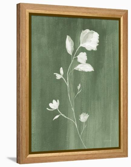 Simple Nature III Sage-Danhui Nai-Framed Stretched Canvas