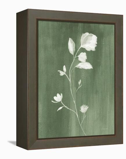 Simple Nature III Sage-Danhui Nai-Framed Stretched Canvas