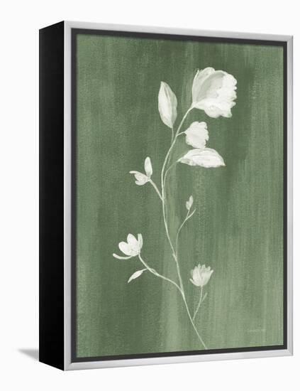 Simple Nature III Sage-Danhui Nai-Framed Stretched Canvas