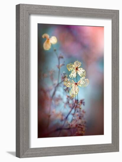 Simple Nature-Jacky Parker-Framed Giclee Print