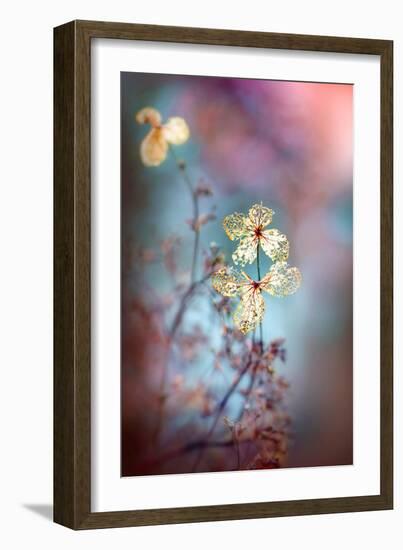 Simple Nature-Jacky Parker-Framed Giclee Print