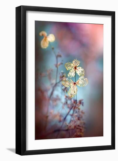 Simple Nature-Jacky Parker-Framed Giclee Print