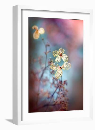 Simple Nature-Jacky Parker-Framed Giclee Print