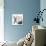 Simple Pebbles - Array-Maja Gunnarsdottir-Mounted Giclee Print displayed on a wall