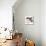 Simple Pebbles - Gather-Maja Gunnarsdottir-Mounted Giclee Print displayed on a wall