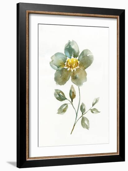 Simple Petals II-null-Framed Art Print