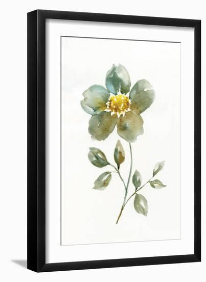 Simple Petals II-null-Framed Art Print