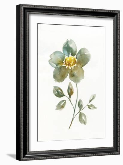 Simple Petals II-null-Framed Art Print