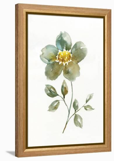 Simple Petals II-null-Framed Stretched Canvas