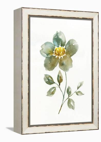 Simple Petals II-null-Framed Stretched Canvas