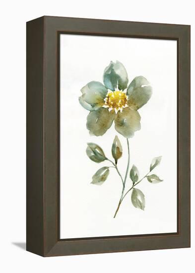 Simple Petals II-null-Framed Stretched Canvas