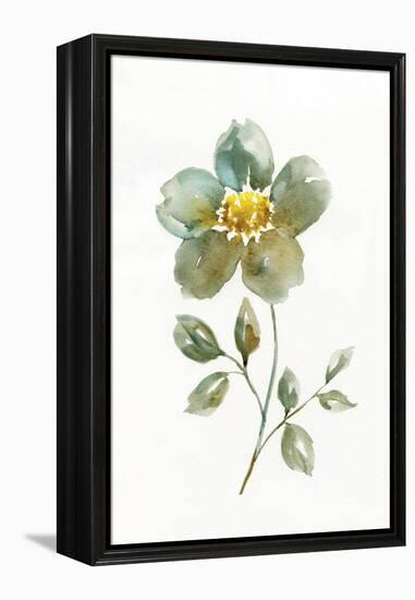 Simple Petals II-null-Framed Stretched Canvas