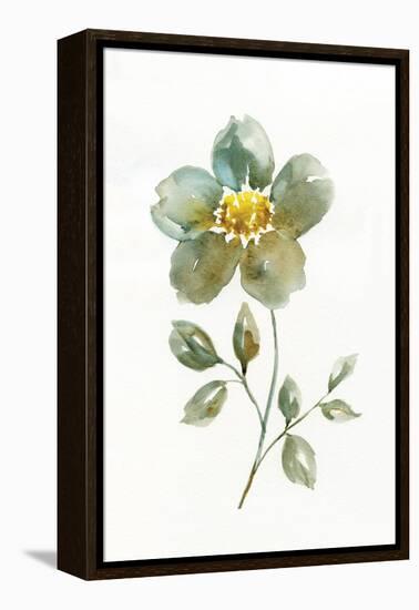 Simple Petals II-null-Framed Stretched Canvas