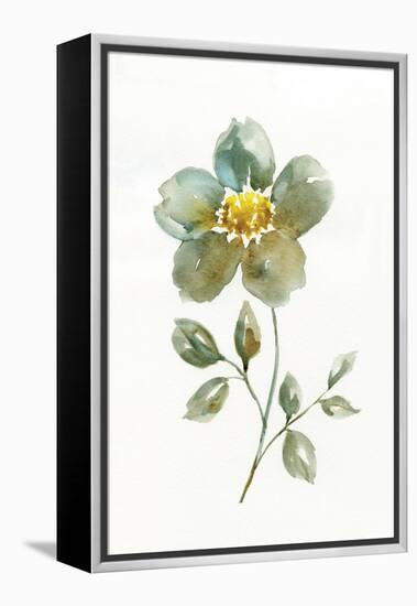 Simple Petals II-null-Framed Stretched Canvas