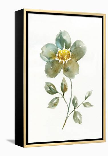 Simple Petals II-null-Framed Stretched Canvas