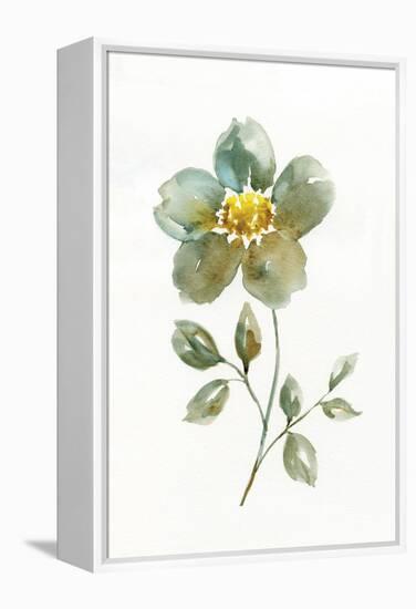 Simple Petals II-null-Framed Stretched Canvas