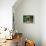 Simple Pleasures-Art Wolfe-Art Print displayed on a wall