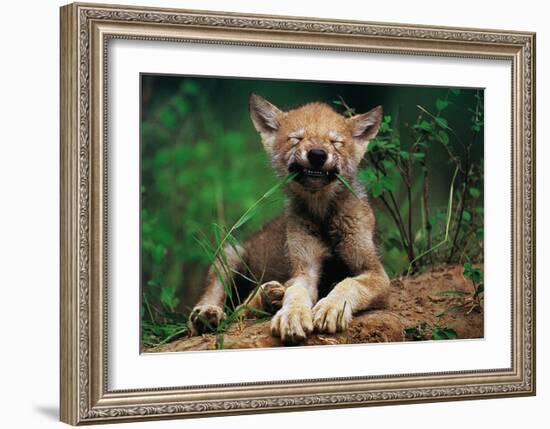 Simple Pleasures-Art Wolfe-Framed Art Print