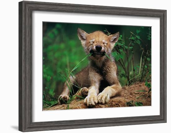 Simple Pleasures-Art Wolfe-Framed Art Print