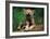 Simple Pleasures-Art Wolfe-Framed Art Print