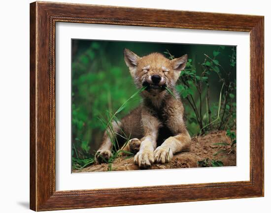 Simple Pleasures-Art Wolfe-Framed Art Print