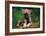 Simple Pleasures-Art Wolfe-Framed Art Print