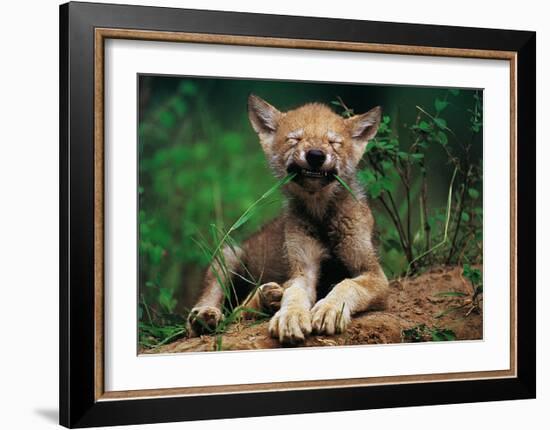 Simple Pleasures-Art Wolfe-Framed Art Print