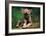 Simple Pleasures-Art Wolfe-Framed Art Print