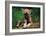 Simple Pleasures-Art Wolfe-Framed Art Print