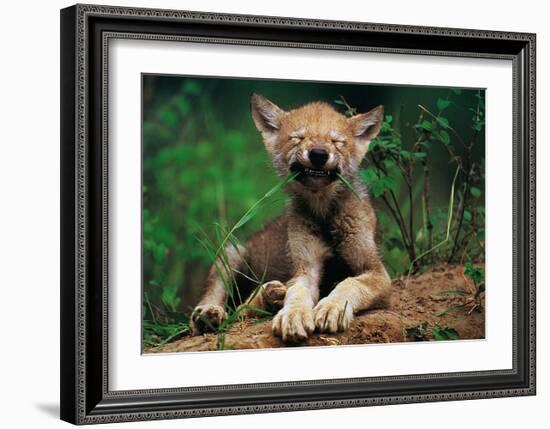 Simple Pleasures-Art Wolfe-Framed Art Print