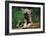 Simple Pleasures-Art Wolfe-Framed Art Print