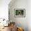 Simple Pleasures-Art Wolfe-Framed Art Print displayed on a wall